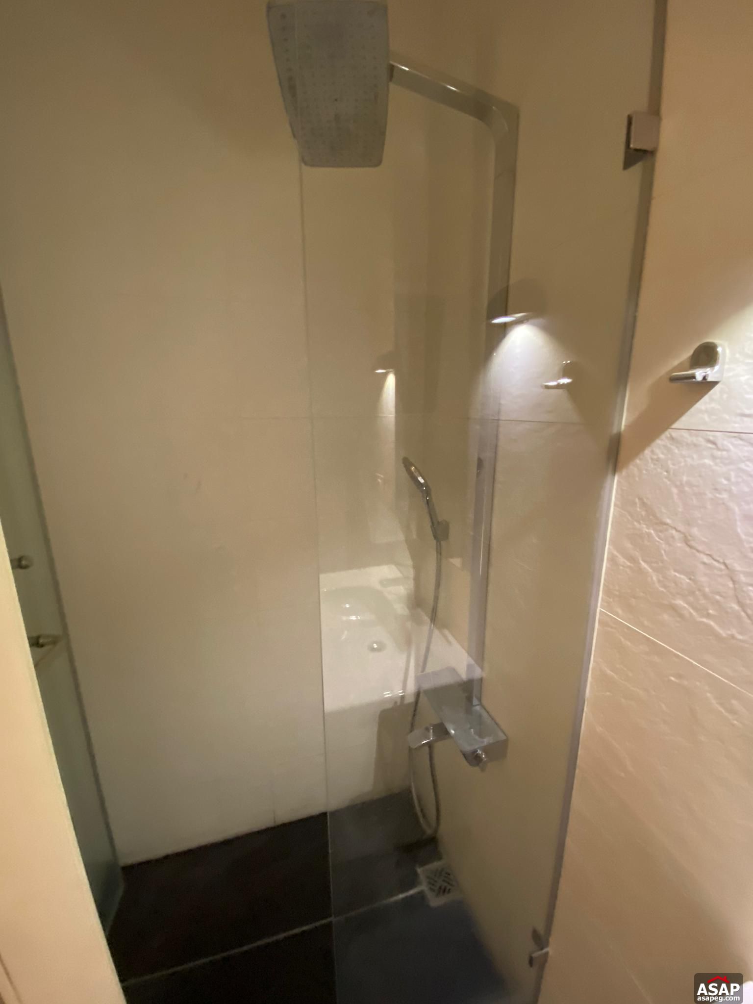 Apartment for Rent in Zamalek Apartment for Rent in Zamalek