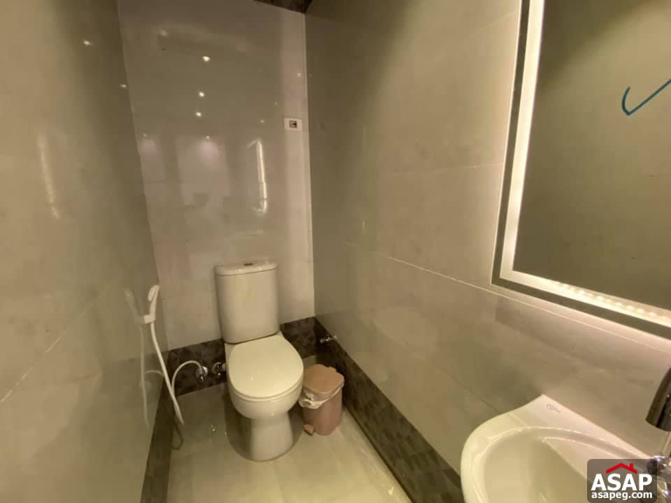 Apartment for Rent in Zamalek Apartment for Rent in Zamalek