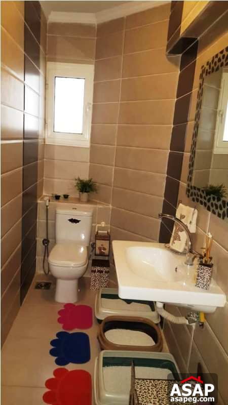 Furnished Apartment in Zayed Dunes Furnished Apartment in Zayed Dunes