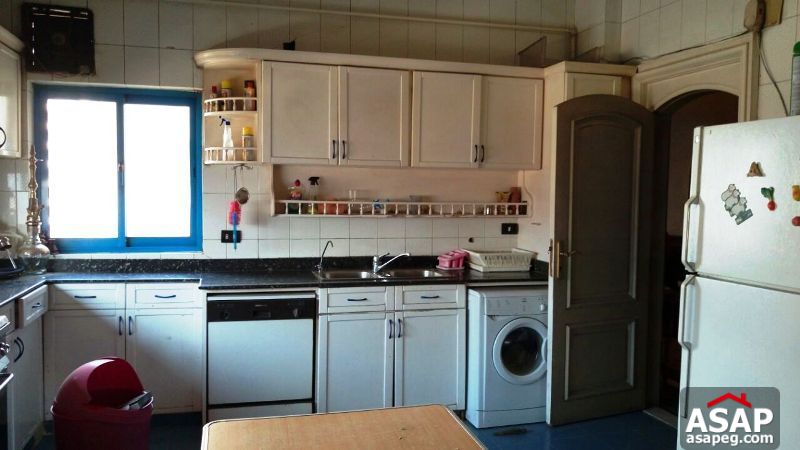 Apartment for rent in zamalek