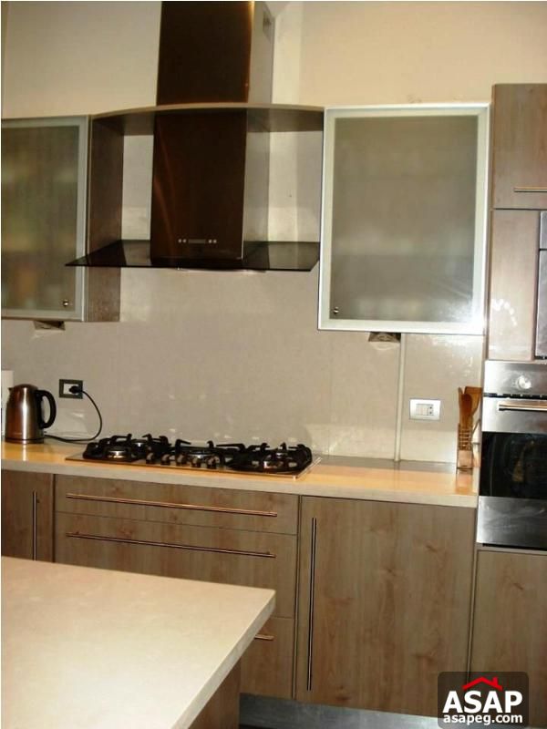 Furnished Apartment for Rent in Zamalek