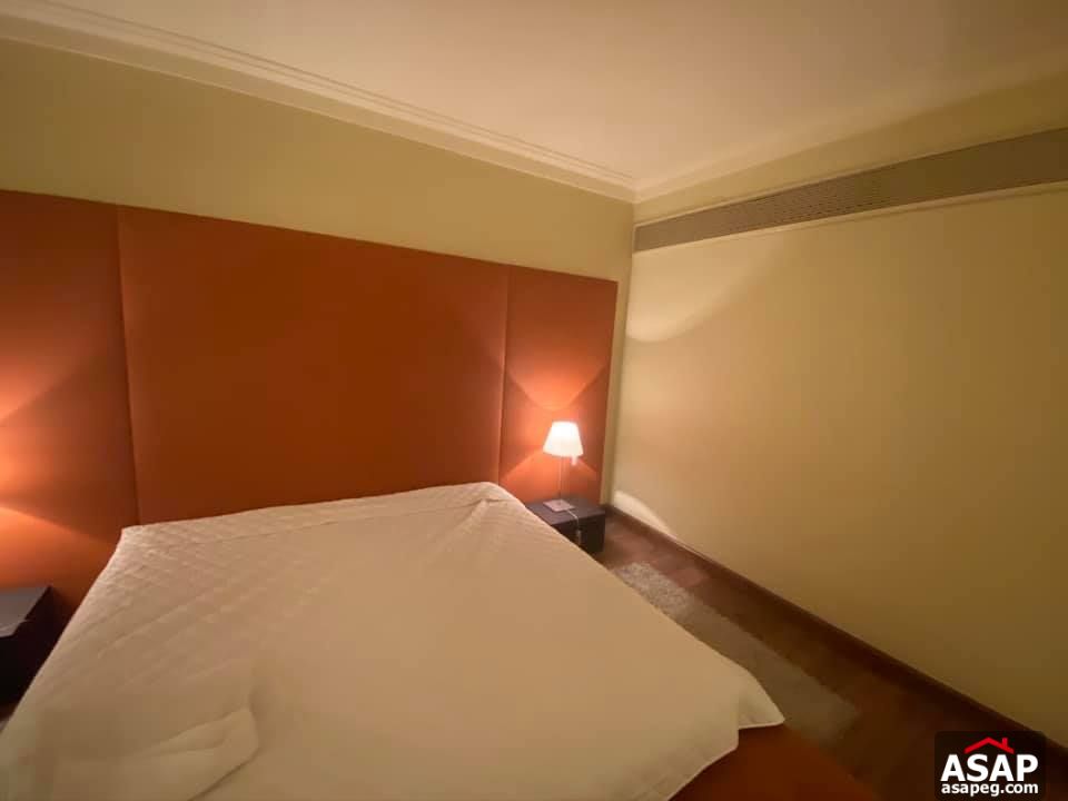 Furnished Flat with Nile View in Zamalek