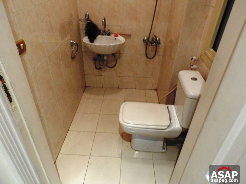 Furnished Apartment with Big Terrace in Maadi