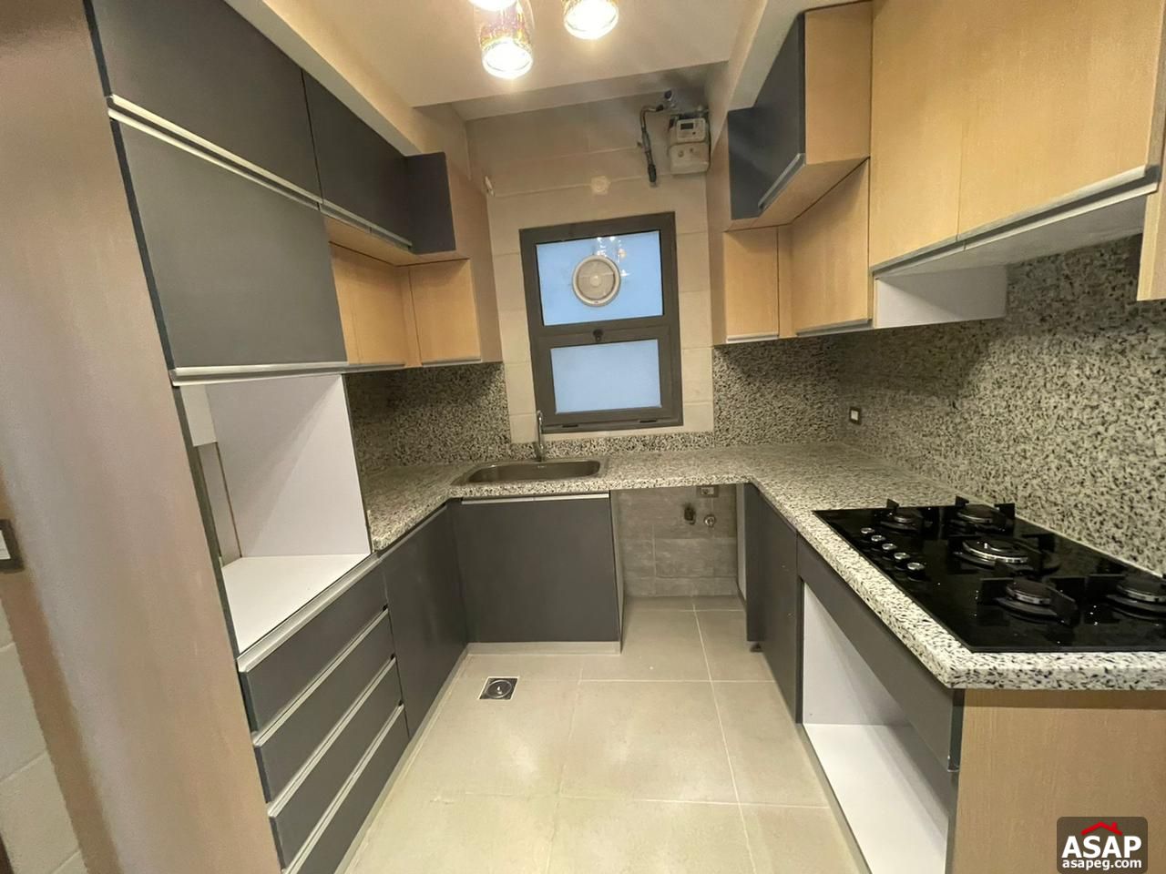 Apartment for Rent in Eastown Apartment for Rent in Eastown