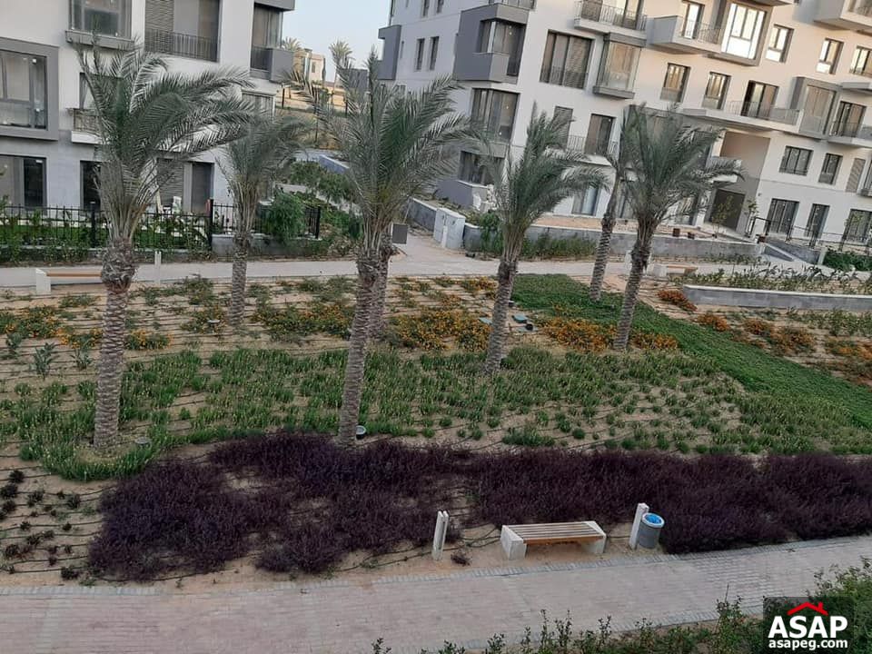 Apartment with Amazing View for Rent in Eastown Apartment with Amazing View for Rent in Eastown