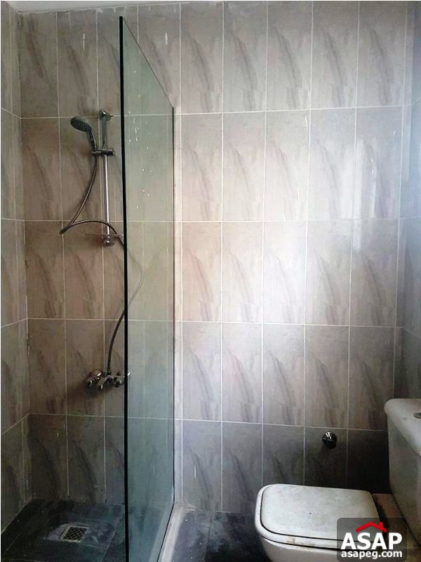 Apartment for Rent in Zamalek Apartment for Rent in Zamalek