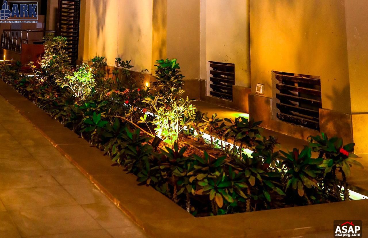 Villa for Rent in CFC Compound