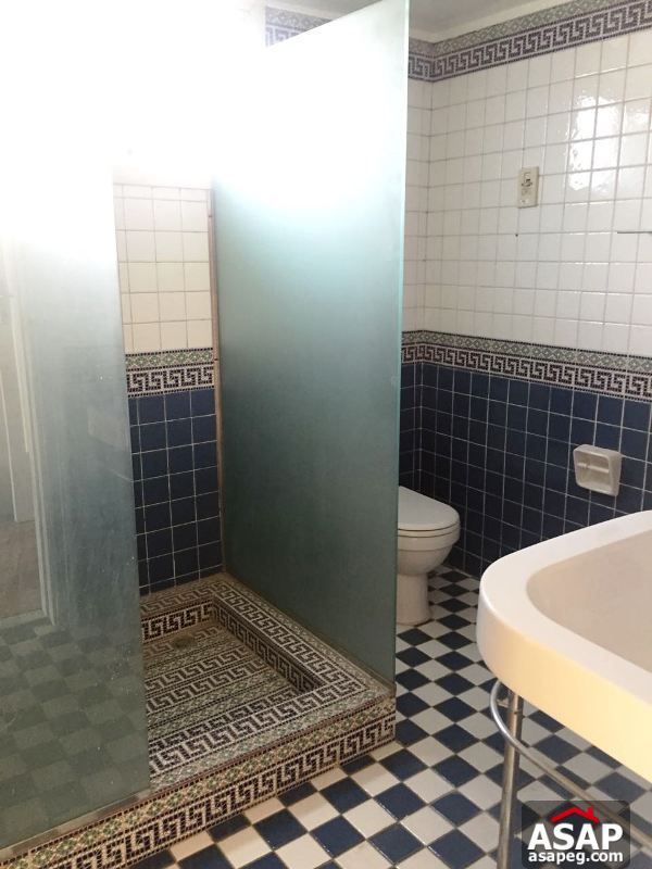 Flat with Balcony in Zamalek for Rent Flat with Balcony in Zamalek for Rent