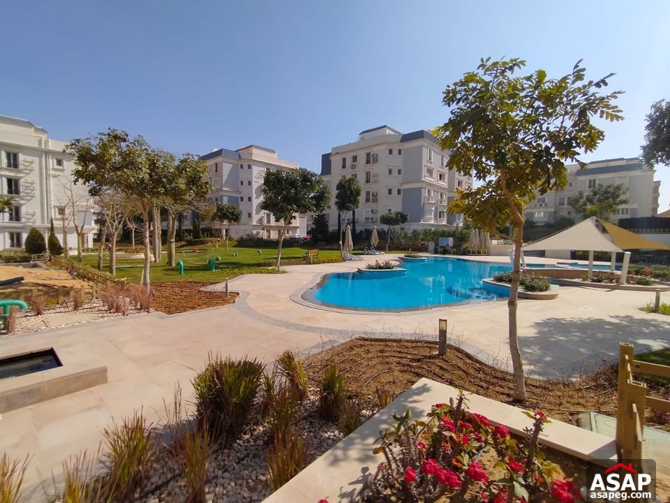 Apartment for Rent in Mountain View Hyde Park Apartment for Rent in Mountain View Hyde Park