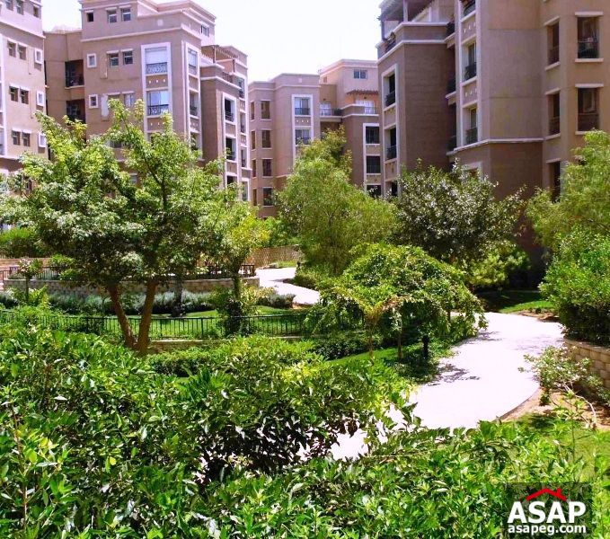 Furnished Apartment for Rent in Katameya Plaza Furnished Apartment for Rent in Katameya Plaza