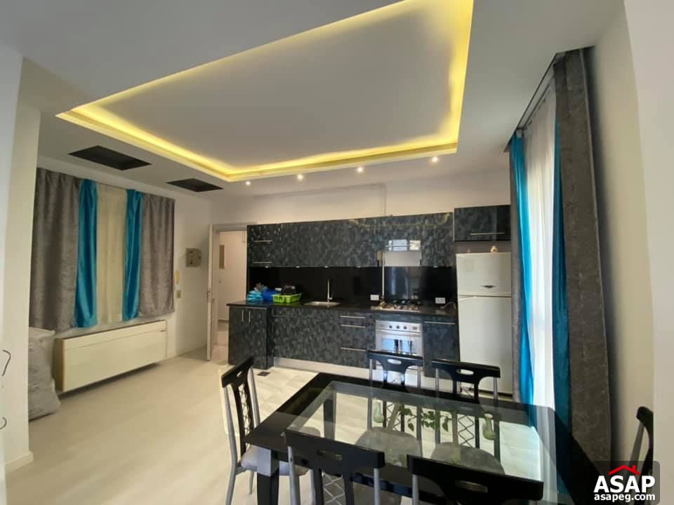 Apartment for Rent in Zamalek Apartment for Rent in Zamalek