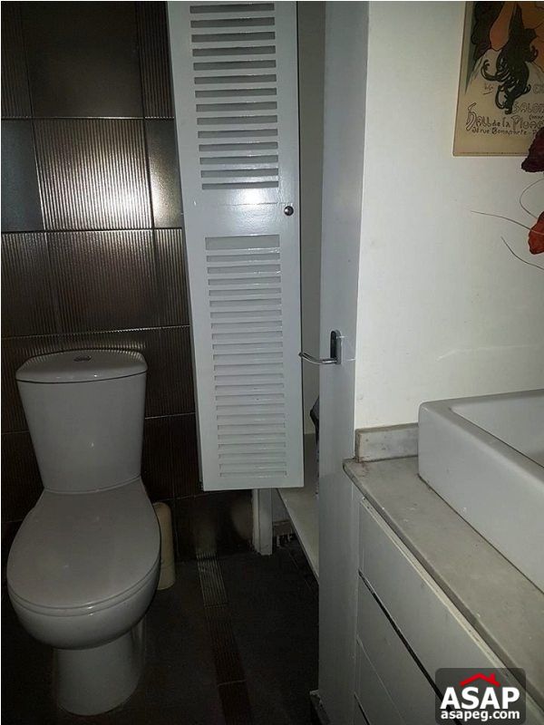 Duplex with Roof for Sale in Zamalek Duplex with Roof for Sale in Zamalek