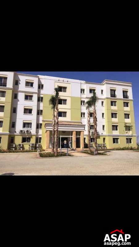 Apartment with Sharing Pool for rent in Uptown Cairo Apartment with Sharing Pool for rent in Uptown Cairo