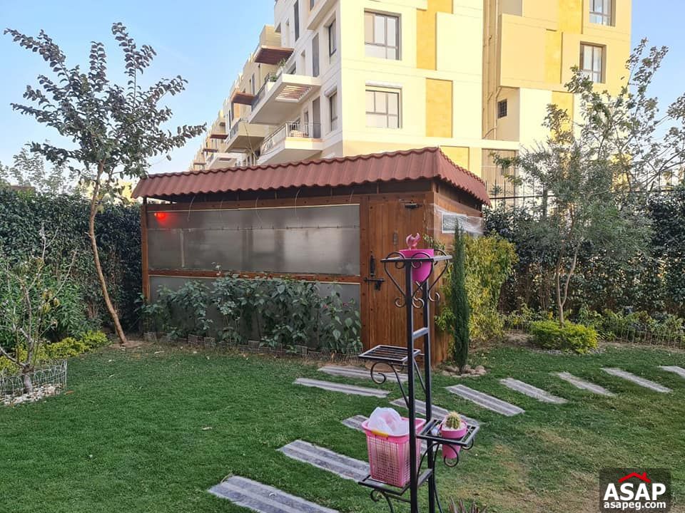 Duplex with Garden for Rent in Eastown Duplex with Garden for Rent in Eastown