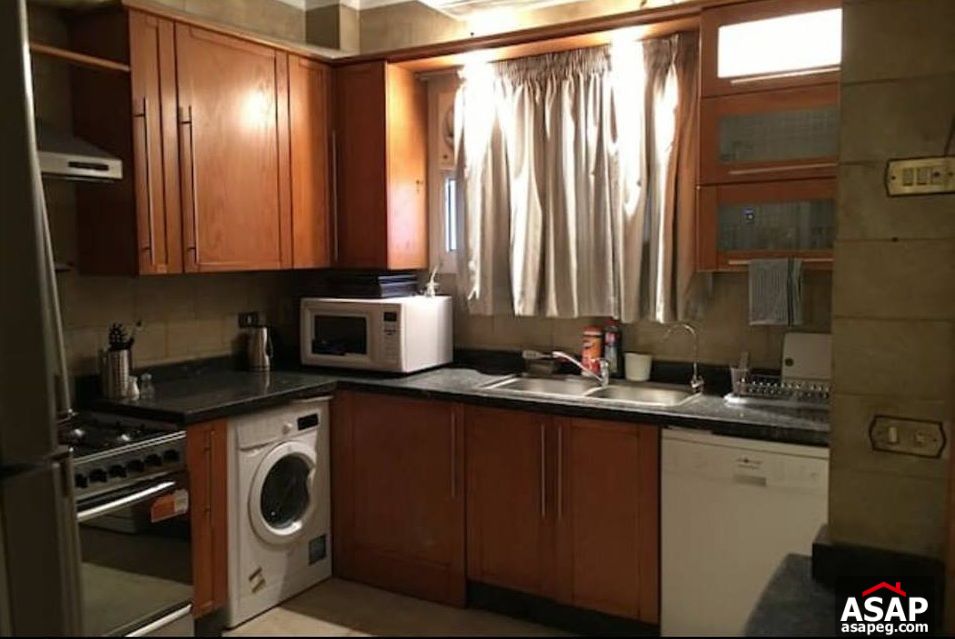 Apartment with Nile View for Rent in Zamalek Apartment with Nile View for Rent in Zamalek