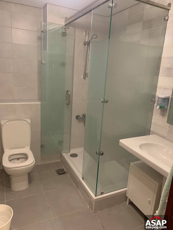 For Rent SPECIAL Furnished Apartment in Cairo Festival For Rent SPECIAL Furnished Apartment in Cairo Festival