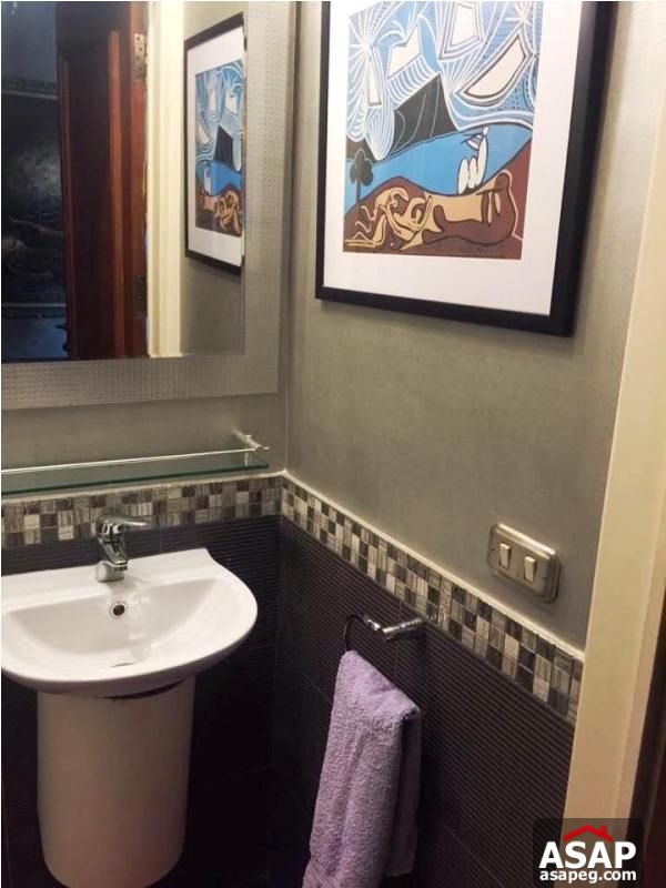 Apartment fully Furnished with 2 Rooms in Zamalek