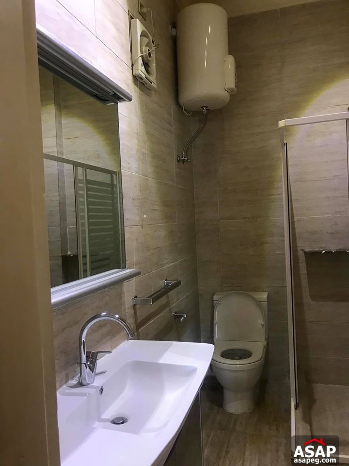 Flat for Rent in Zamalek Flat for Rent in Zamalek
