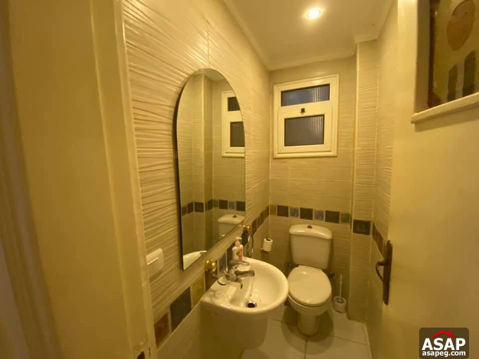 Apartment for Rent in Zamalek Apartment for Rent in Zamalek