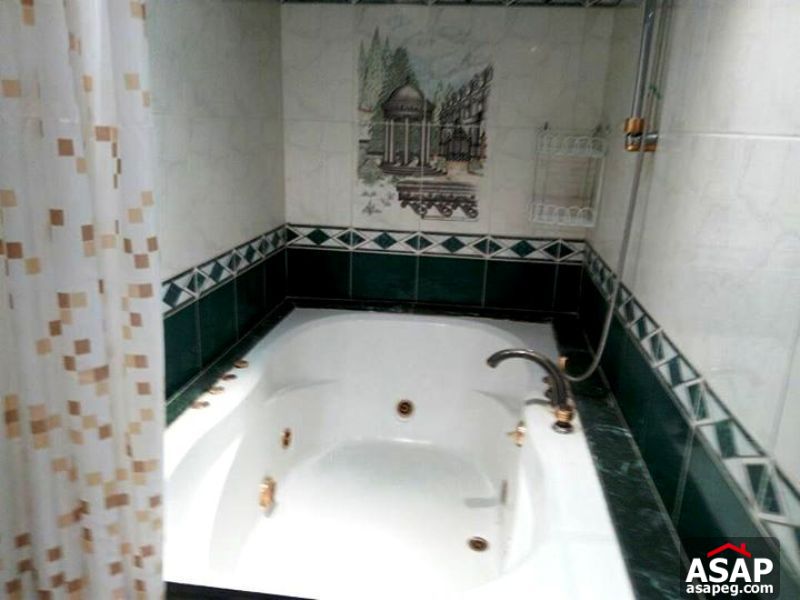 Apartment with Nile View for Rent in Zamalek Apartment with Nile View for Rent in Zamalek