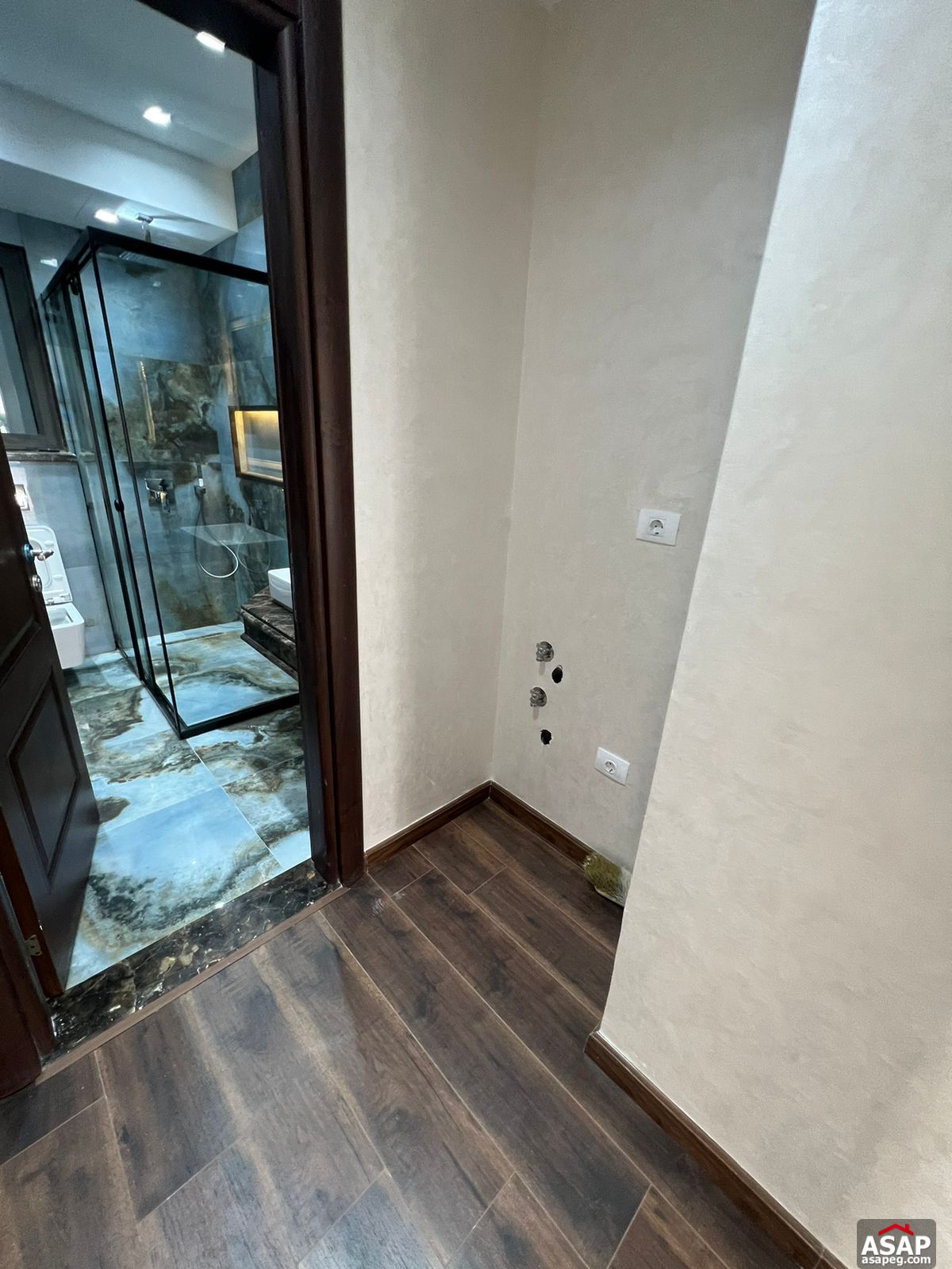 Apartment with Private Pool for Rent in Lake View Residence Apartment with Private Pool for Rent in Lake View Residence