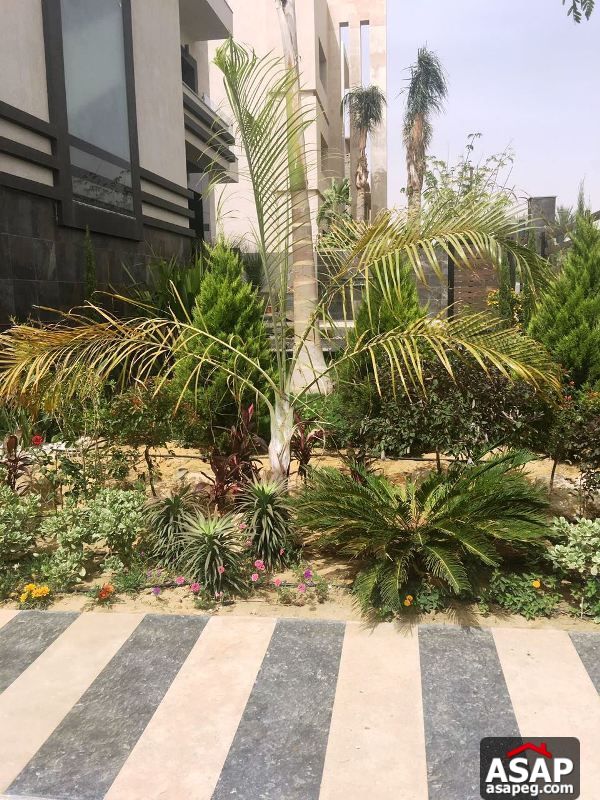 Apartment with Golf View in Katameya Dunes for Rent Apartment with Golf View in Katameya Dunes for Rent