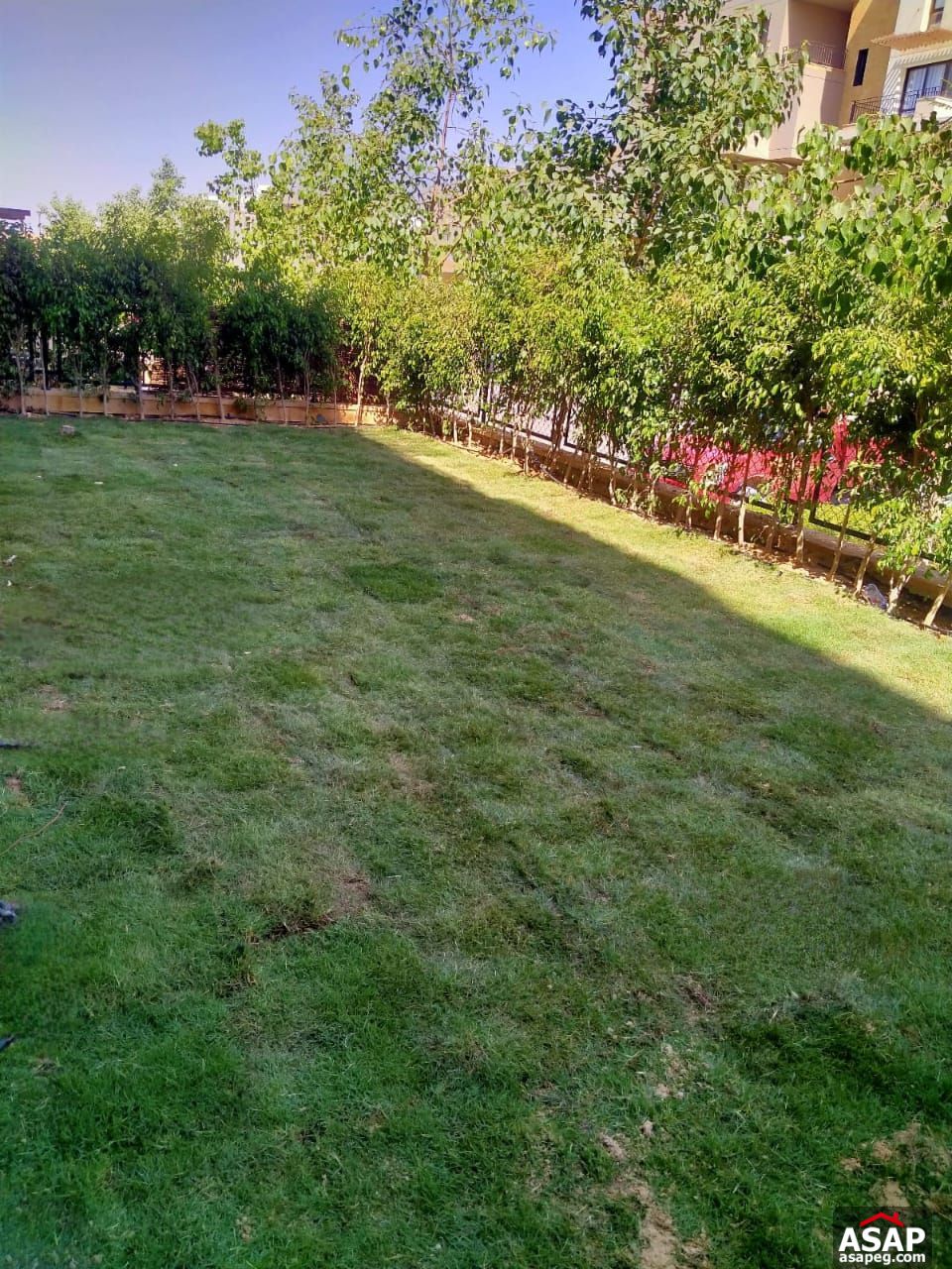 Duplex with Garden for Rent in Eastown Sodic Duplex with Garden for Rent in Eastown Sodic