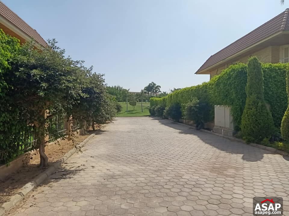 Villa for Rent in Rabwa - Sheikh Zayed Villa for Rent in Rabwa - Sheikh Zayed