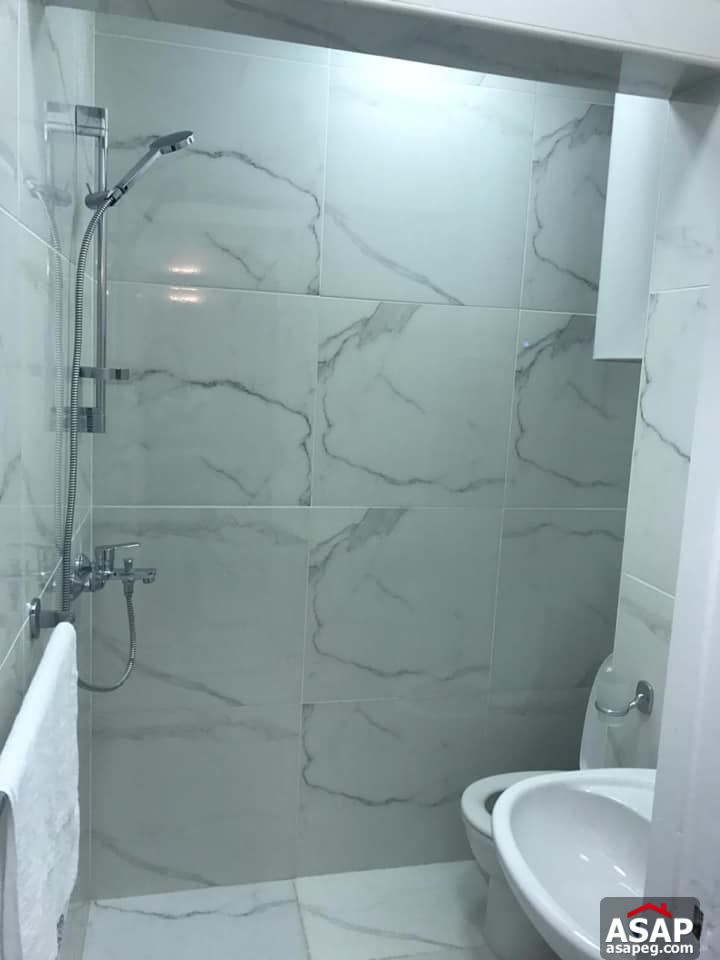 Flats for Rent in Zamalek Flats for Rent in Zamalek