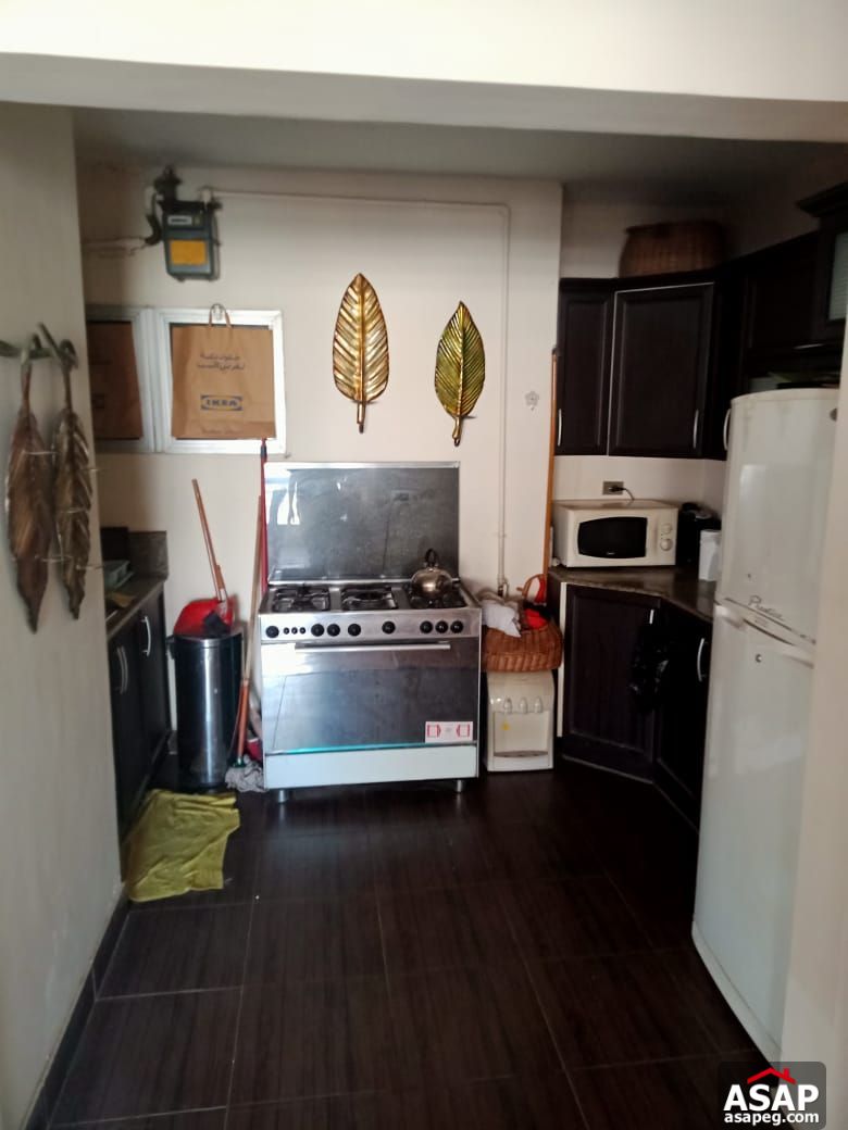 Fully Furnished Apartment in Zamalek for Rent Fully Furnished Apartment in Zamalek for Rent