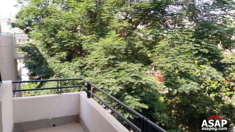 Apartment for rent in zamalek Apartment for rent in zamalek