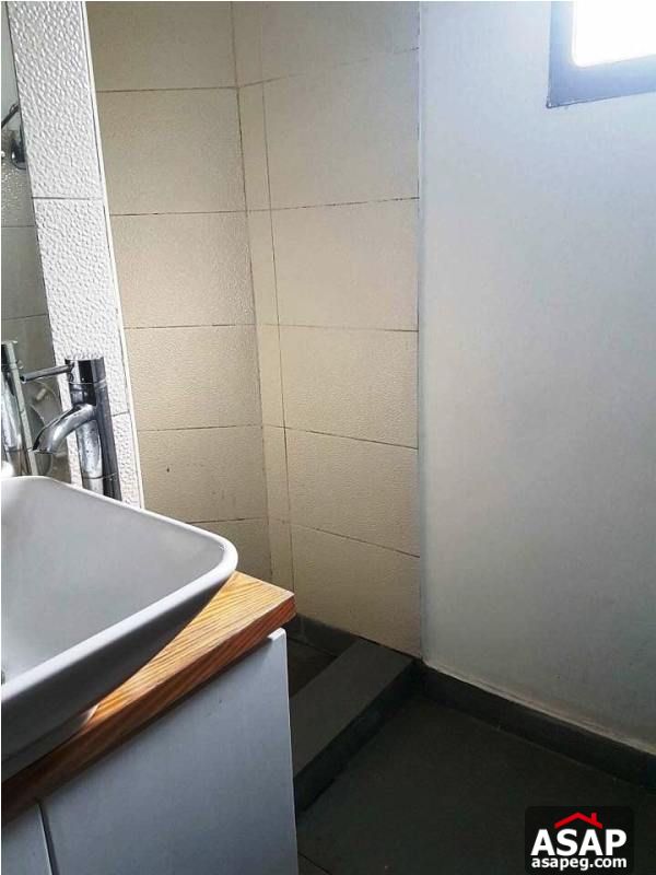 Duplex with Roof for Sale in Zamalek Duplex with Roof for Sale in Zamalek