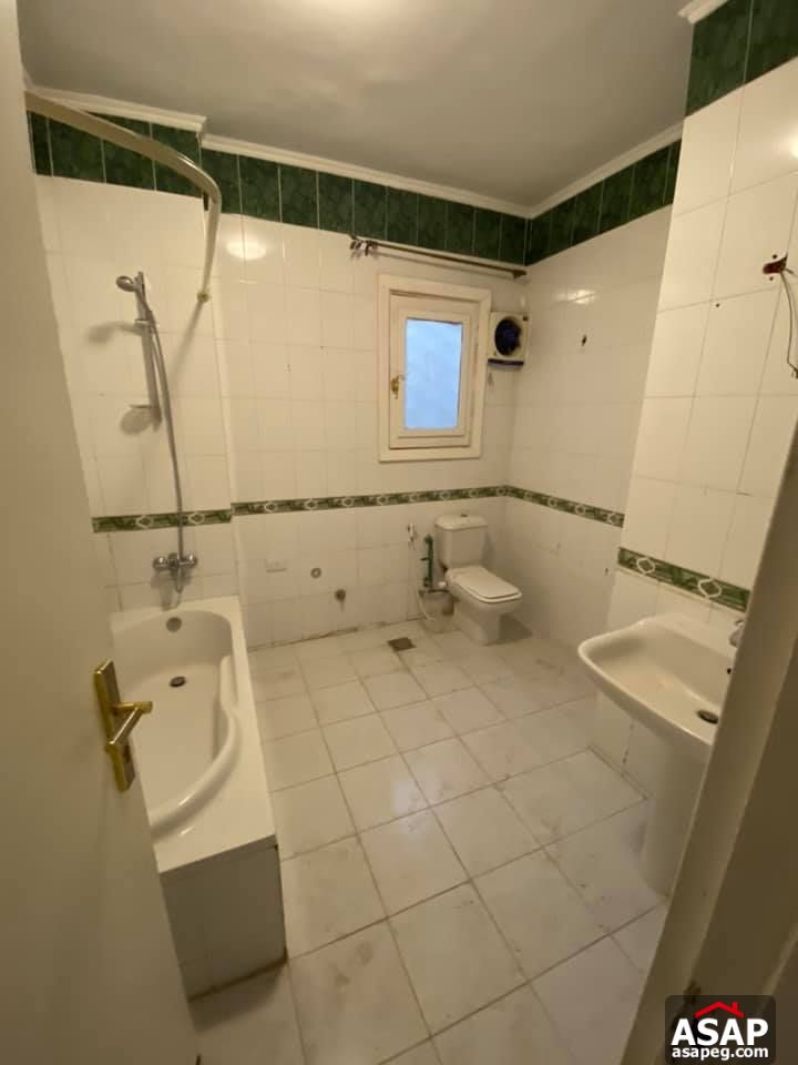 Apartment for Rent in Zamalek Apartment for Rent in Zamalek