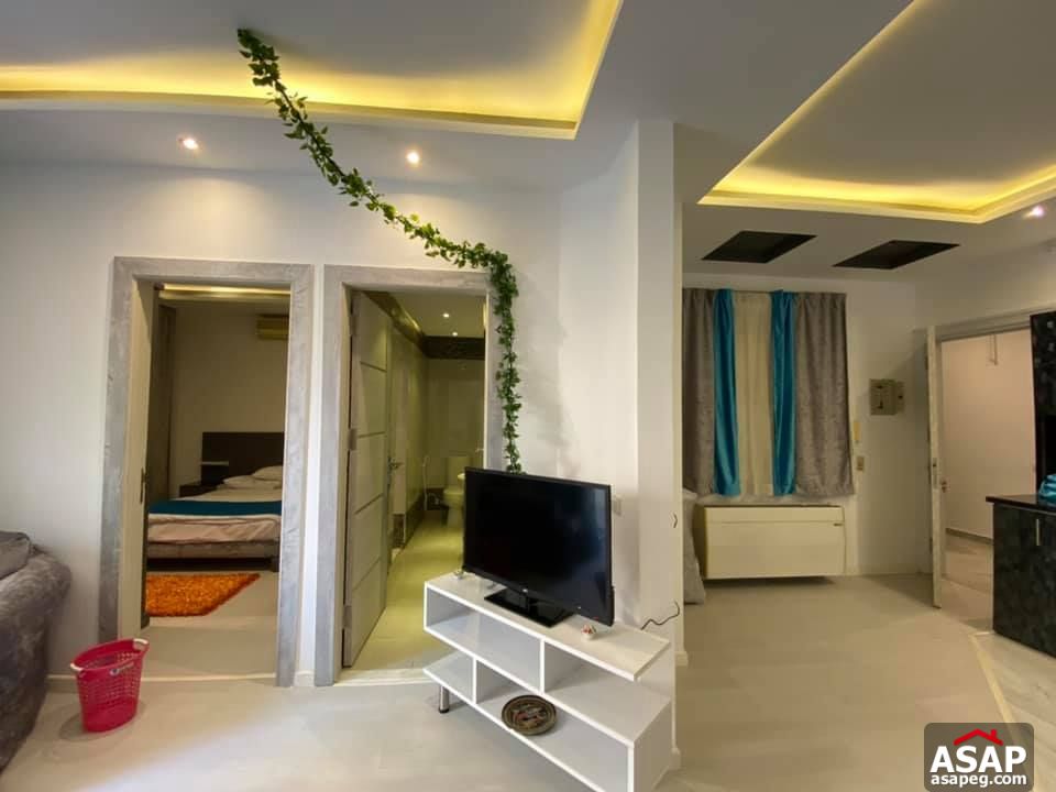 Apartment for Rent in Zamalek Apartment for Rent in Zamalek