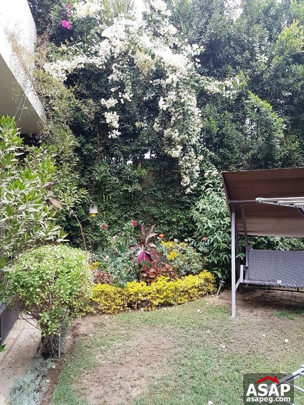 Town House for Rent in Allegria Town House for Rent in Allegria