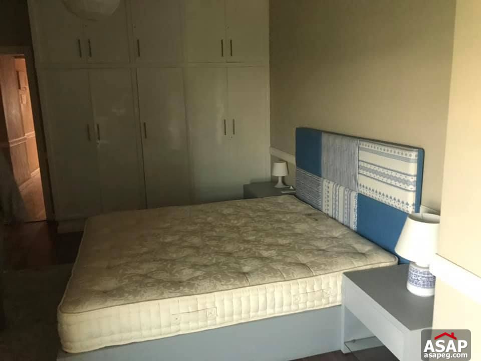 Apartment for Rent in Zamalek Apartment for Rent in Zamalek