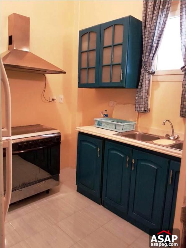 Apartment for Rent in Zamalek Apartment for Rent in Zamalek