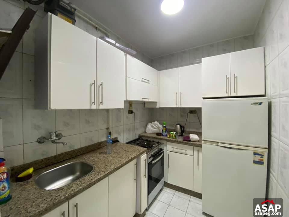 Nice Flat for Rent in Zamalek Nice Flat for Rent in Zamalek