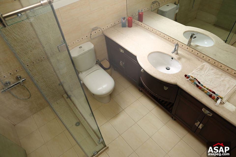 Apartment with Nile View for Rent in Zamalek Apartment with Nile View for Rent in Zamalek