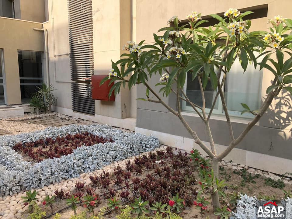 Ground Floor for Rent in the Village Compound Ground Floor for Rent in the Village Compound