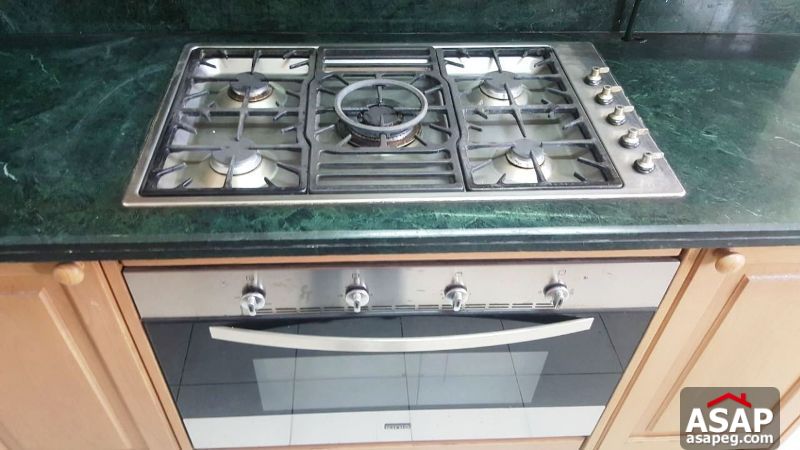 Furnished Apartment with Nile View for Rent in Maadi