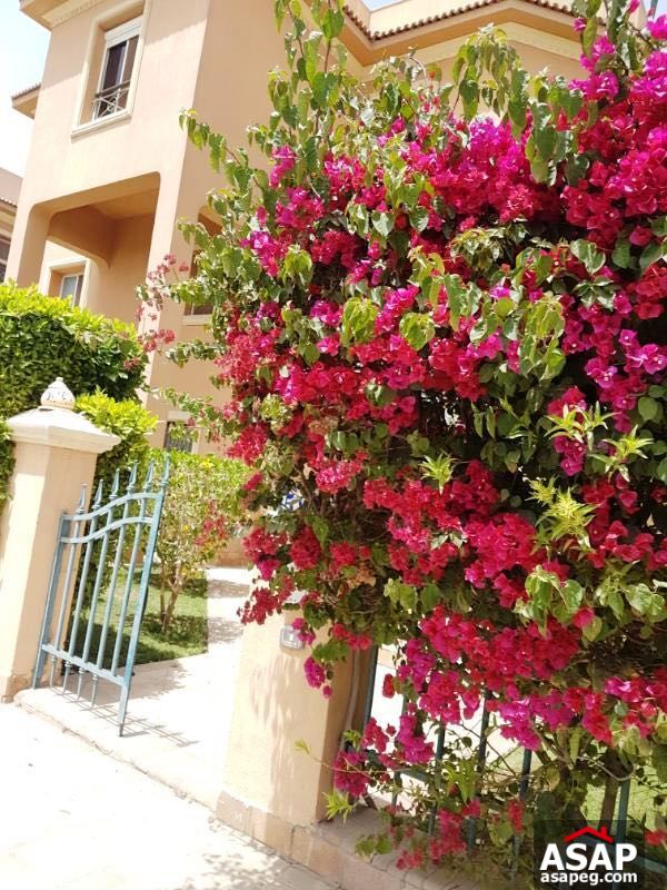 Villa for Rent in Katameya Heights Villa for Rent in Katameya Heights