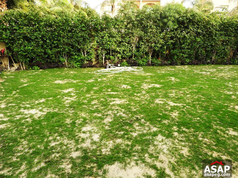 Furnished Twin House with Pool in Le Rois Compound Furnished Twin House with Pool in Le Rois Compound