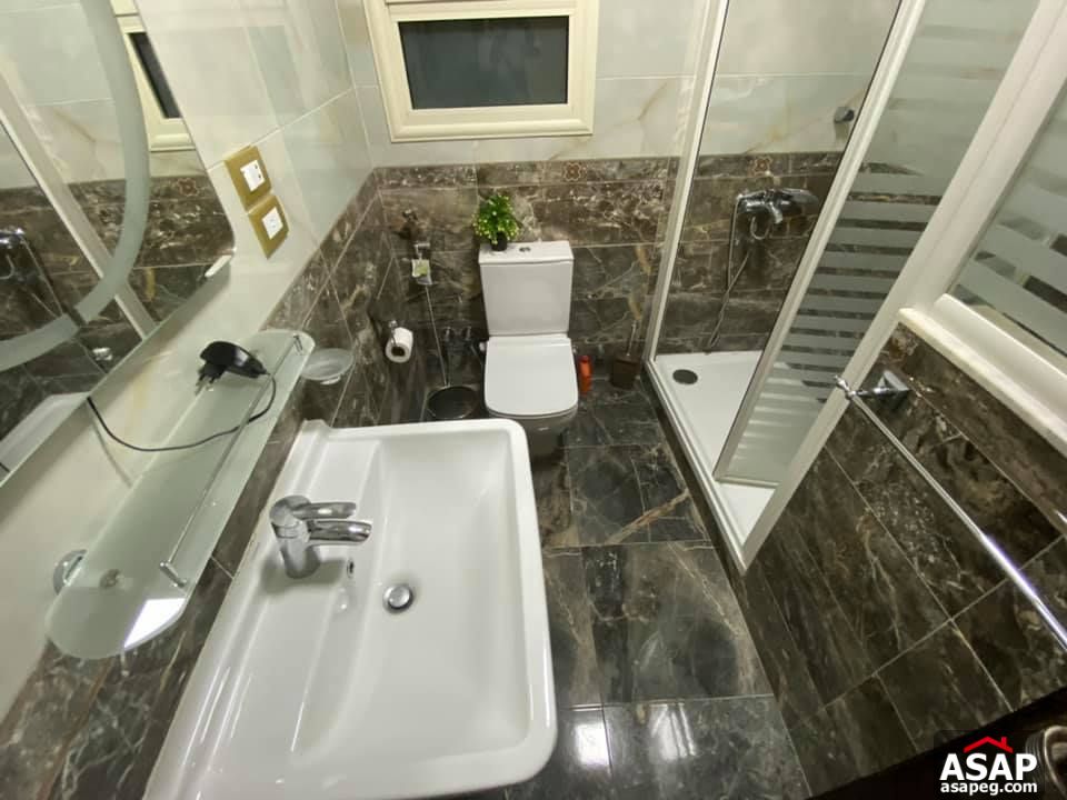 Flats for Rent in Zamalek Flats for Rent in Zamalek