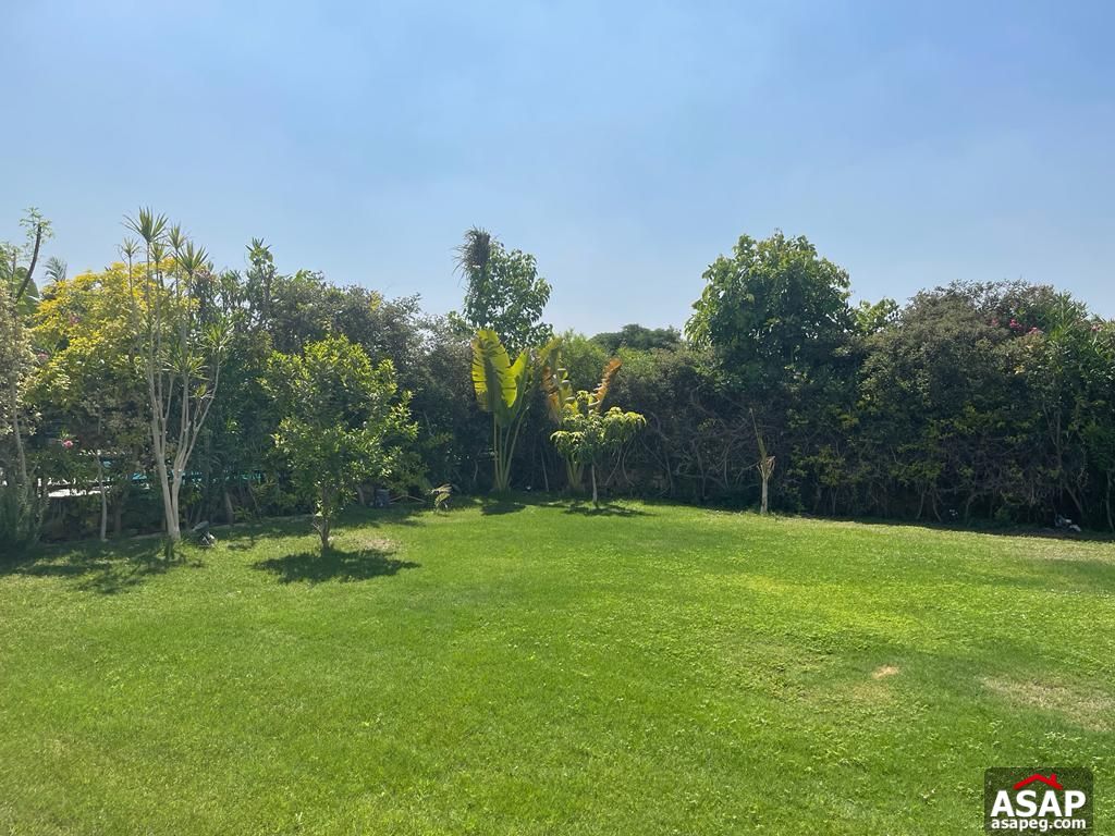 Furnished Stand Alone for Rent in New Cairo