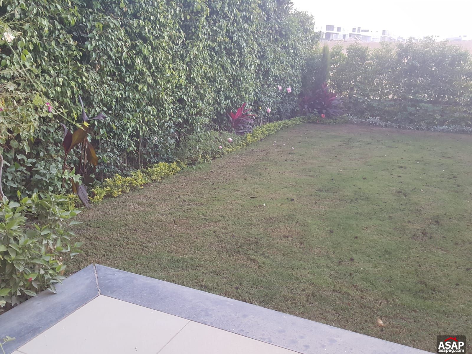 I Villa Garden for Rent in Mountain View Hyde Park I Villa Garden for Rent in Mountain View Hyde Park