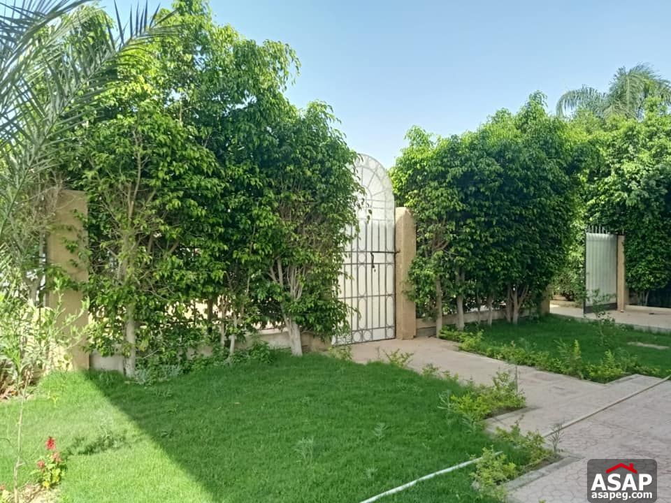 Villa for Rent in Rabwa - Sheikh Zayed Villa for Rent in Rabwa - Sheikh Zayed