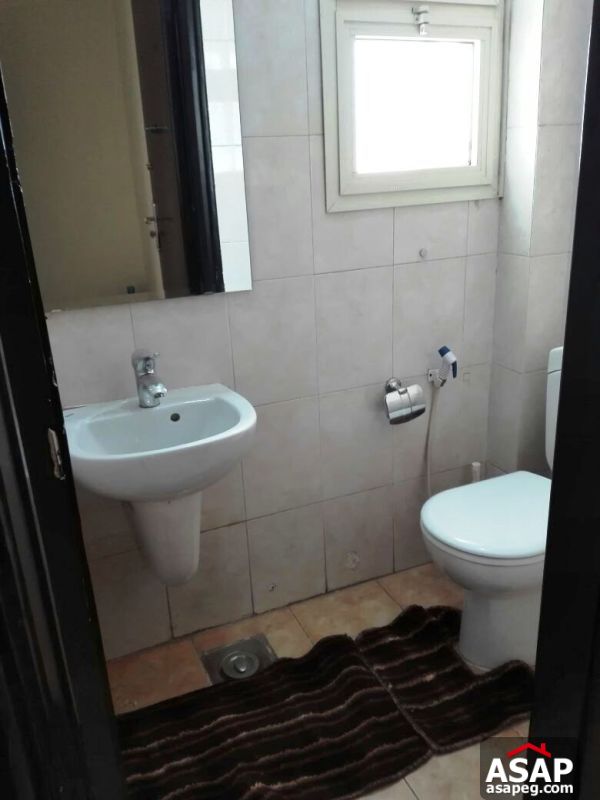 Furnished Apartment for rent in Mohandiseen