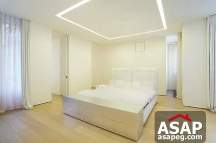 Nica Flat for Rent in Zamalek Nica Flat for Rent in Zamalek