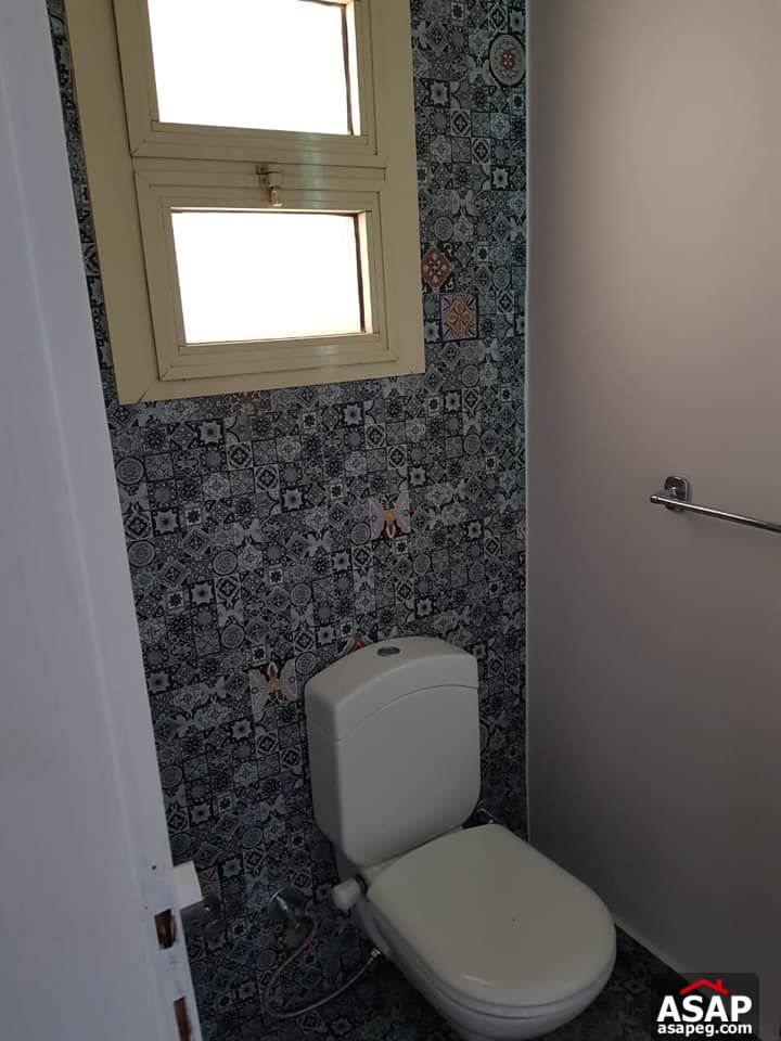 Apartment for Rent in Zamalek Apartment for Rent in Zamalek